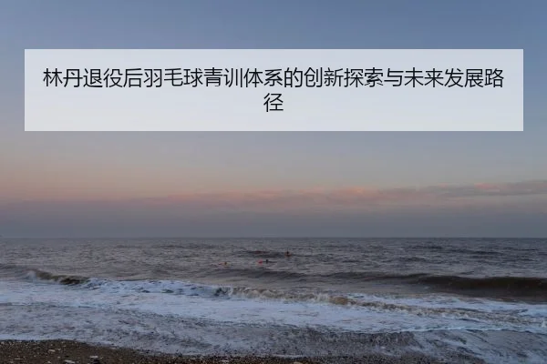 林丹退役后羽毛球青训体系的创新探索与未来发展路径